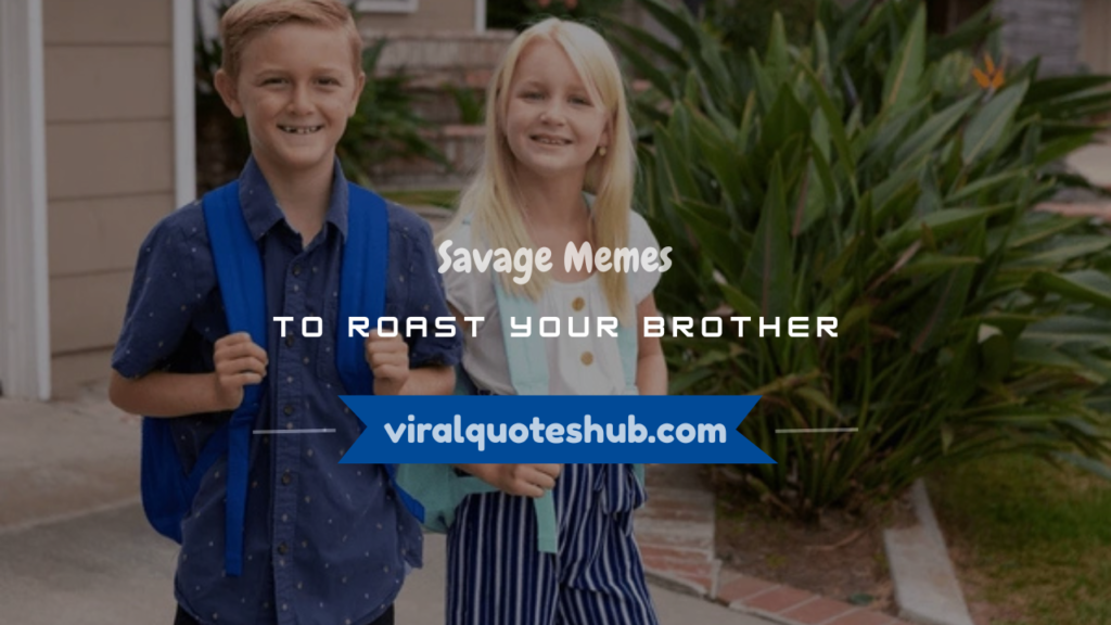 memes to roast your brother