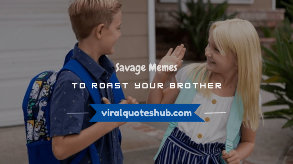memes to roast your brother